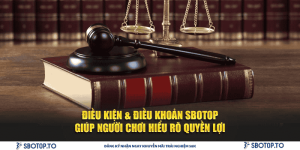 ảnh đại diện điều khoản và điều kiện sbotop